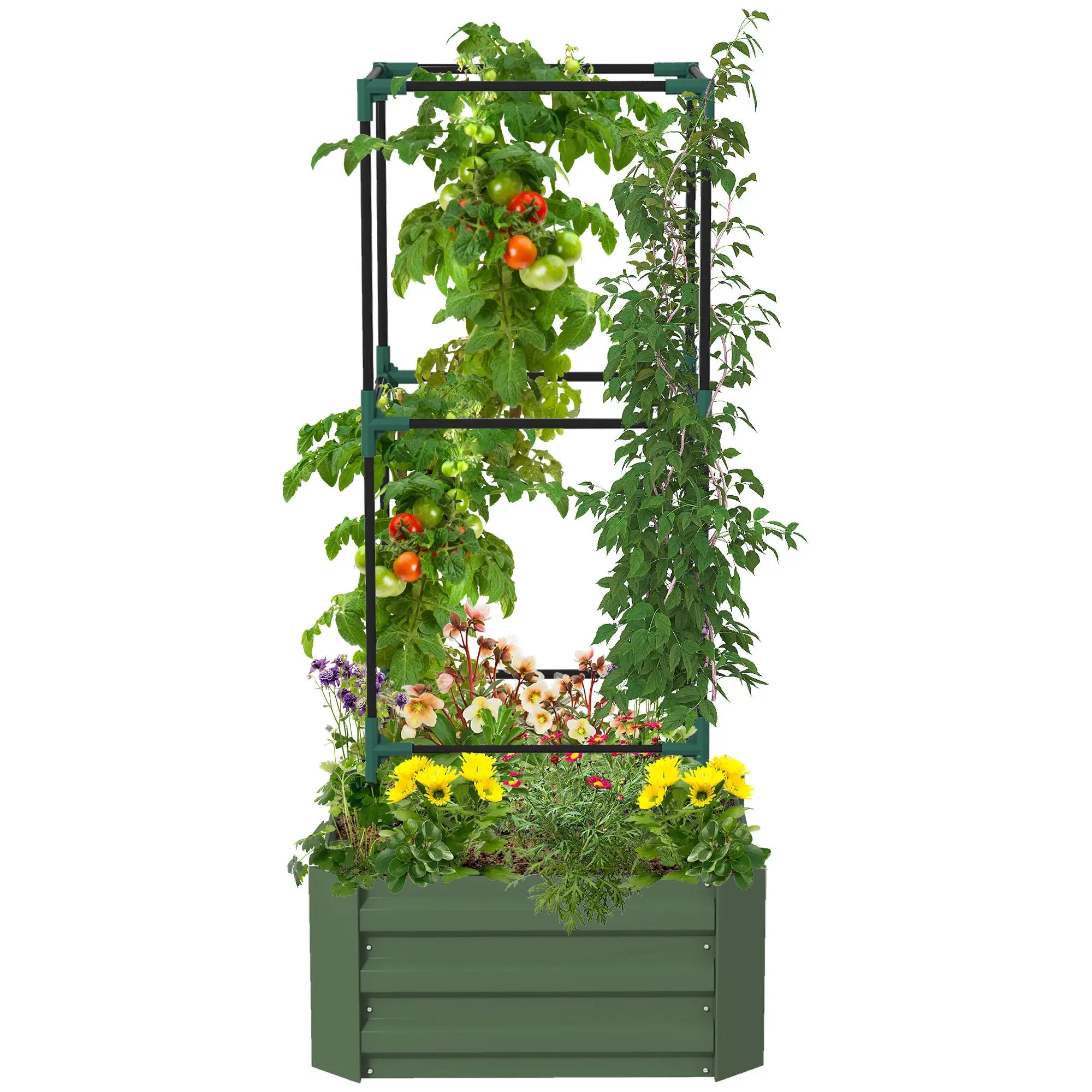 Outsunny Hochbeet mit Rankgitter Pflankasten mit Rankhilfe, offener Boden, wetterbeständig, 61 cm x 61 cm x 140 cm, Grün