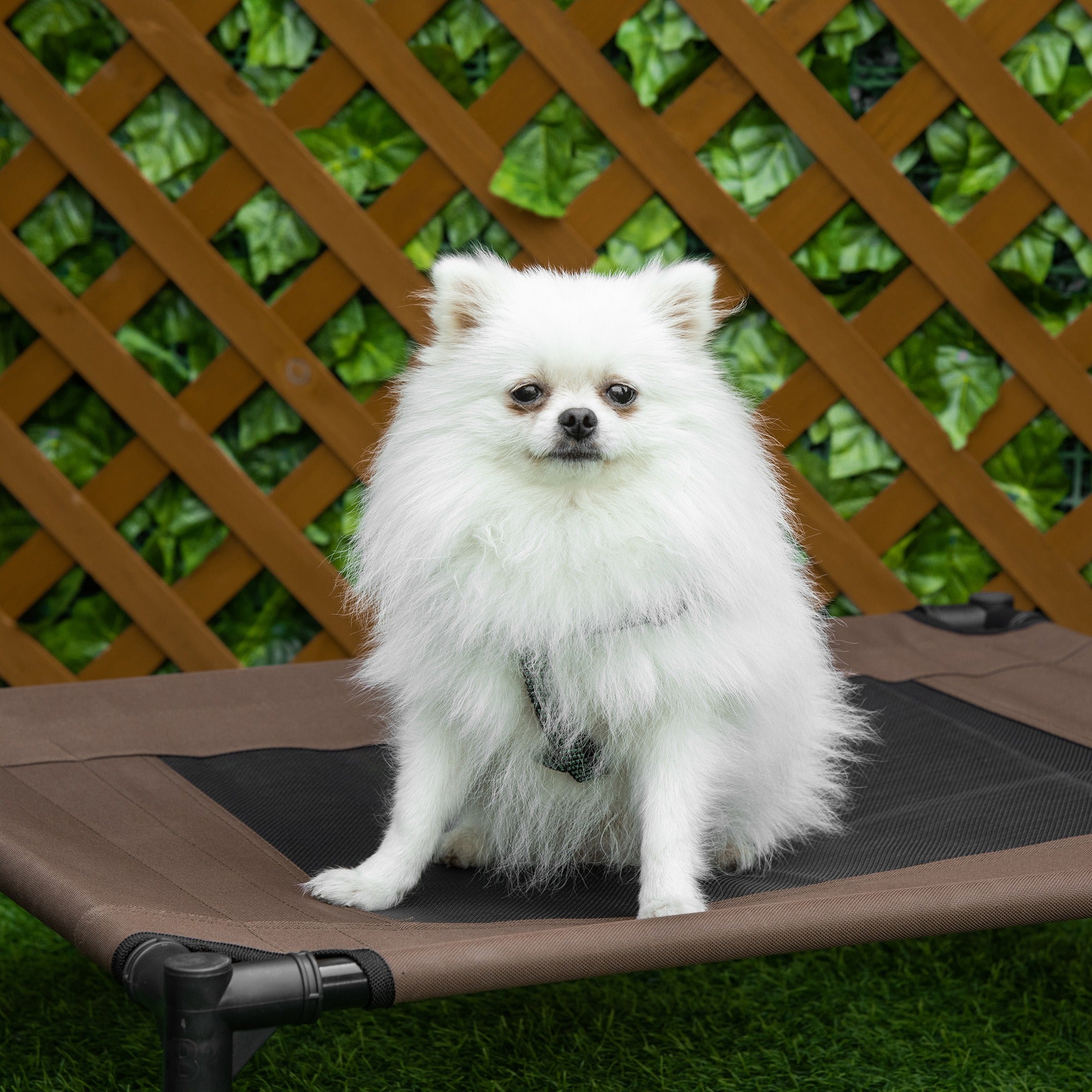 PawHut Hundeliege Outdoor, Erhöhtes Hundebett für Mittelgroße Groß Hunde, stabile Haustierliege mit Waschbares Mesh, Katzenbett Haustierbett Schlafplatz für Draußen Camping, 76 x 61 x 18 cm, Braun