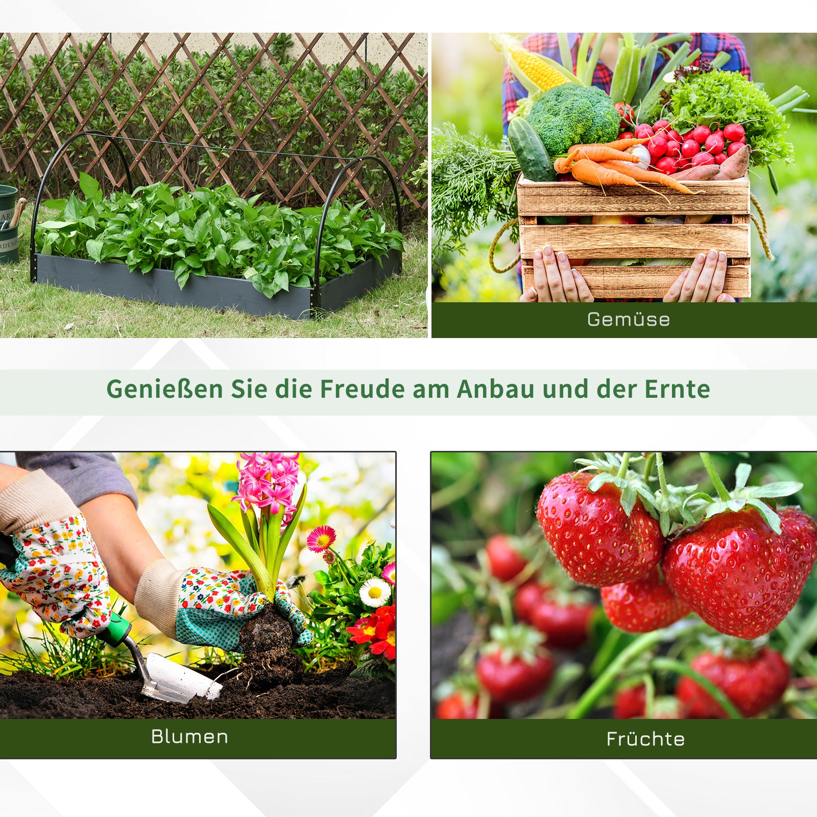 Outsunny c Treibhaus Tomatenhaus Frühbeet kunststoff Stahl Transparent 120 x 79 x 53 cm