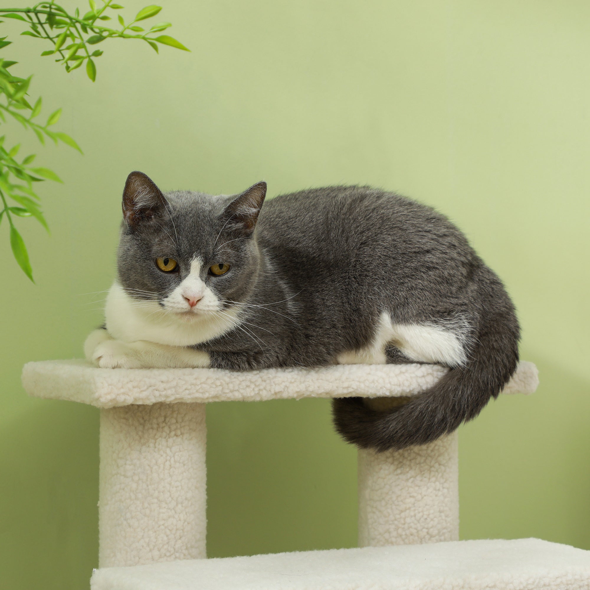 PawHut Tiertreppe Katzentreppe Hundetreppe Treppe für Katze und Hunde 4 Stufen Cremeweiß 63,5x43x60cm