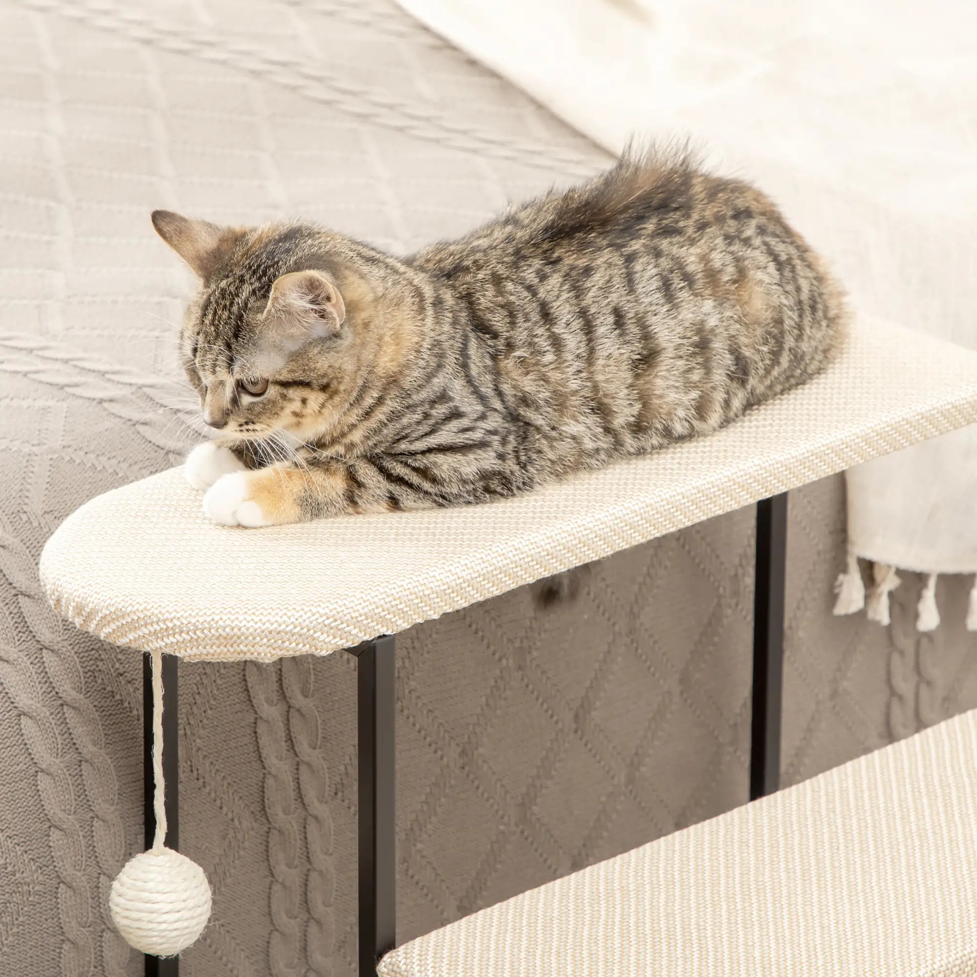 PawHut Katzentreppe Kratzbrett Spielball Aufstiegshilfe Katze