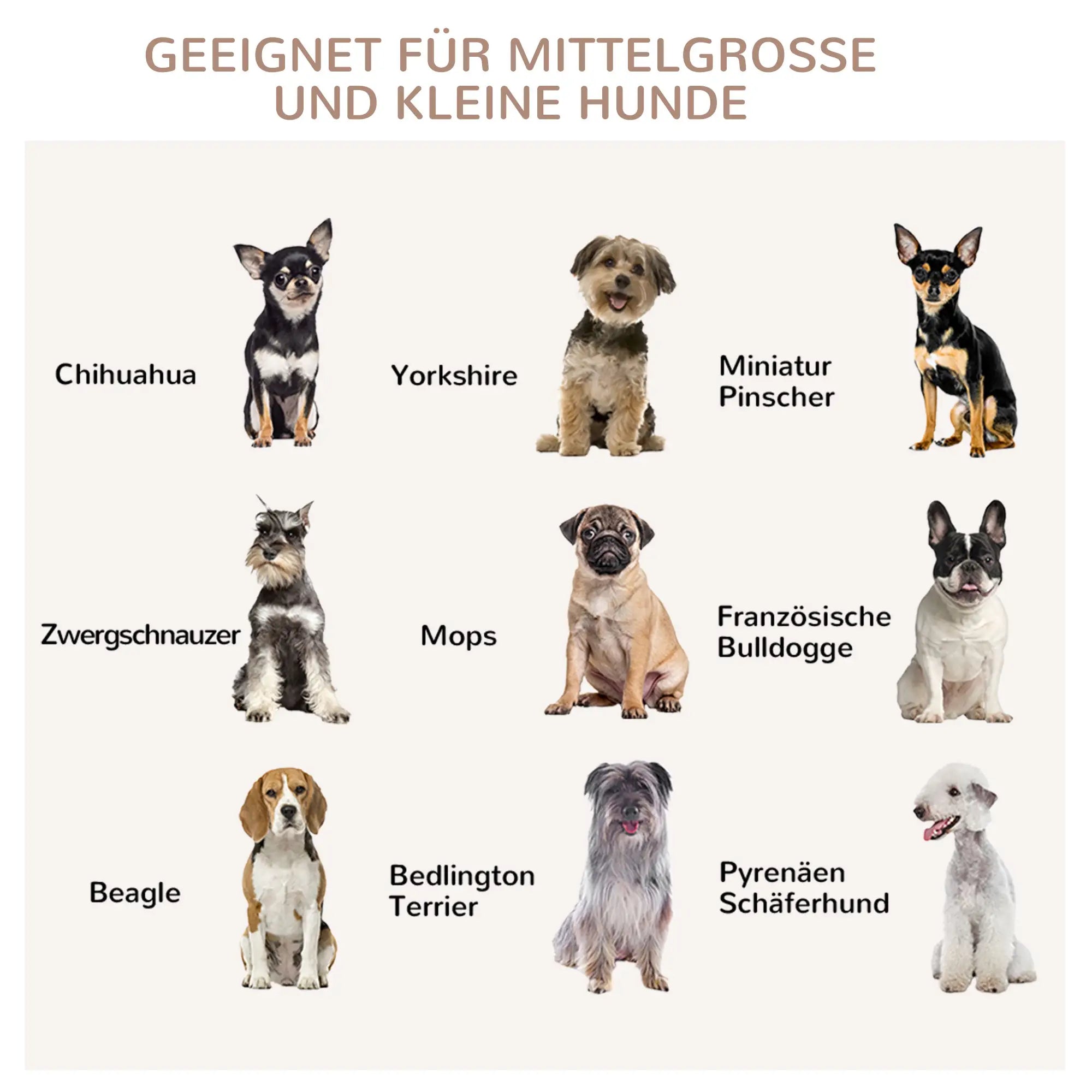 PawHut Hundekäfig Hundehütte erhöht Rückzugsort abschließbar