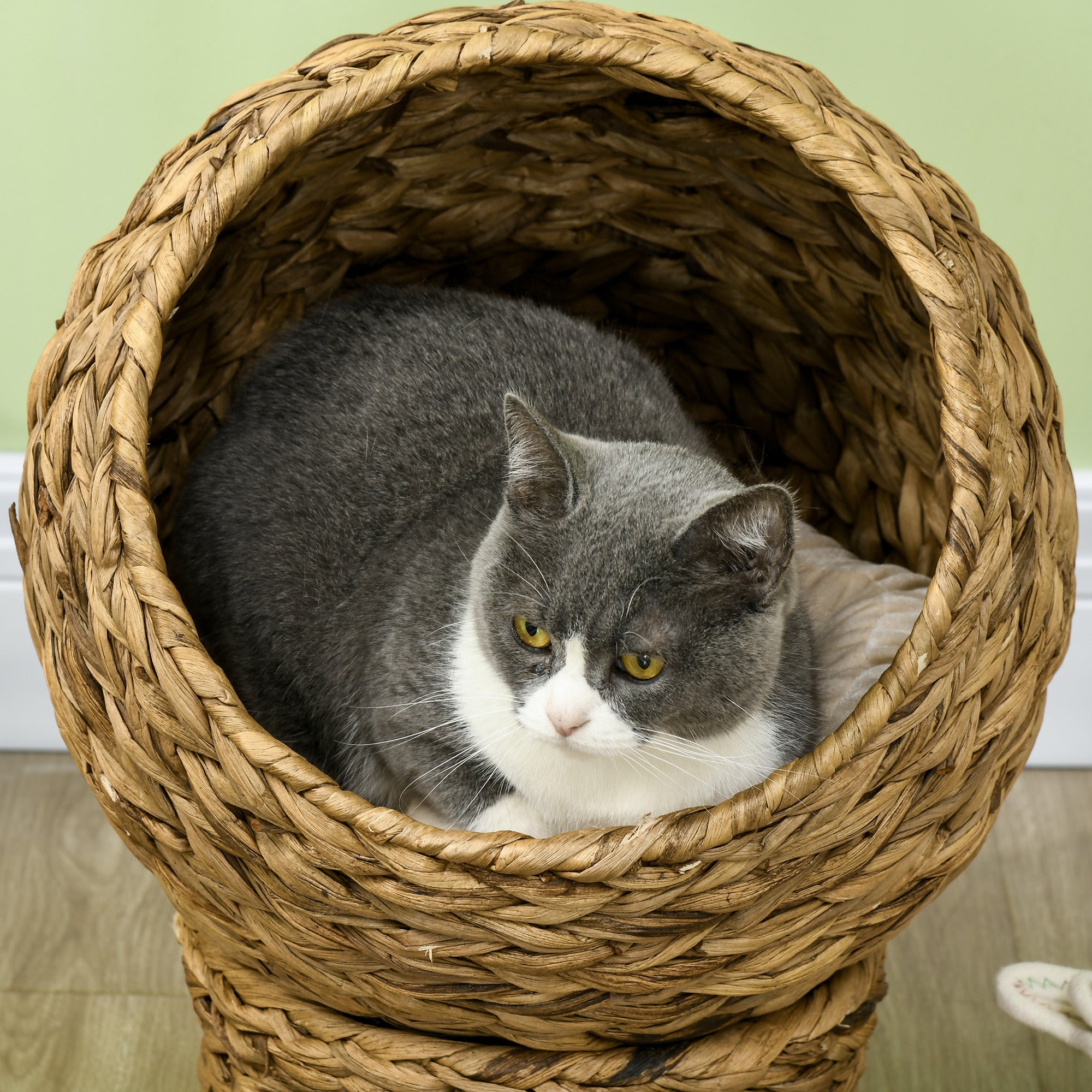 PawHut Rattan Katzenkorb Katzenhöhle Katzenhütte Katzenbett mit Kissen Haustierbett Wasserhyazinthe Braun 42 x 33 x 52 cm