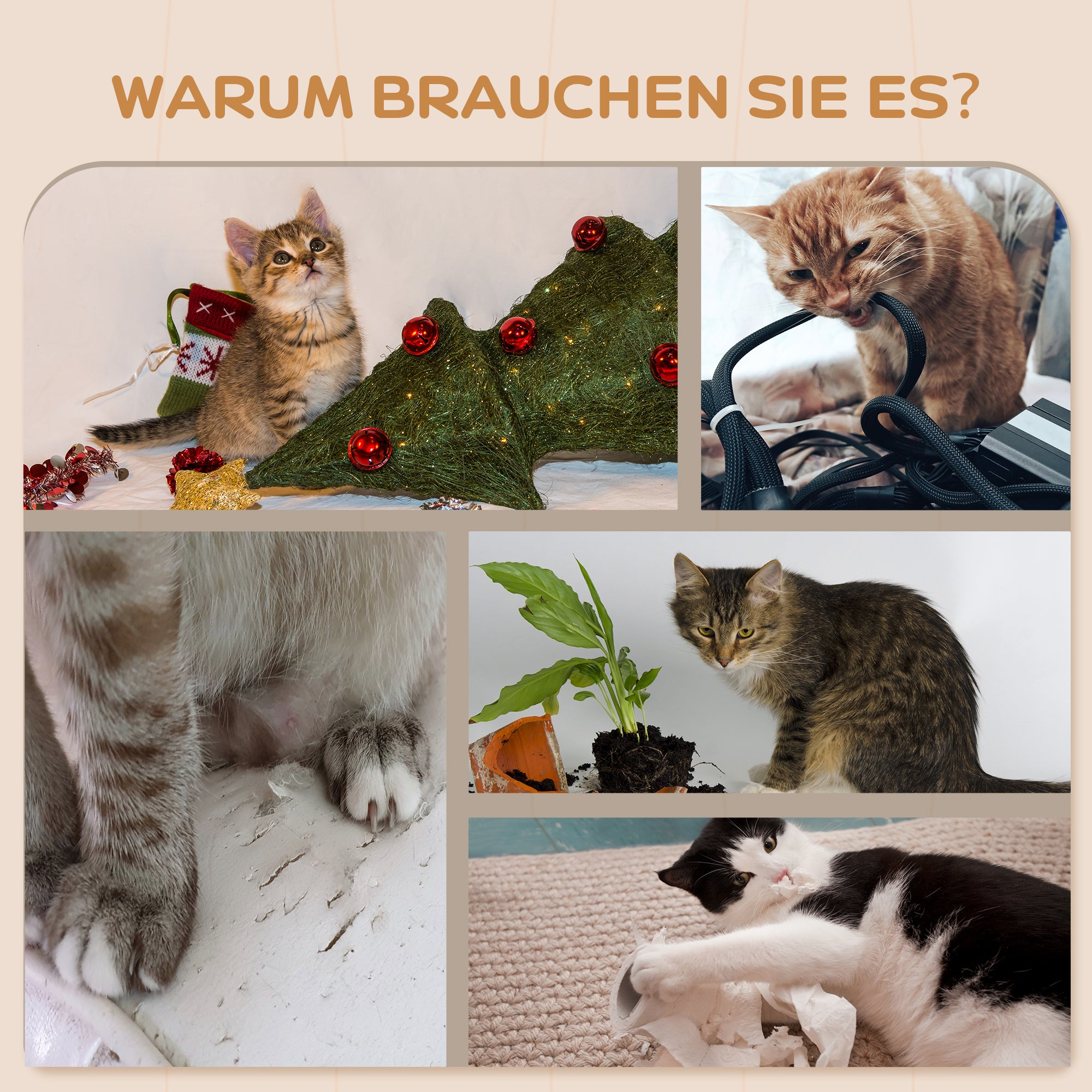 PawHut 3-teiliges Katzenkletter-Set, wandmontierter Katzenbaum mit Kratzpfosten, Stufe, Leiter, Naturholz