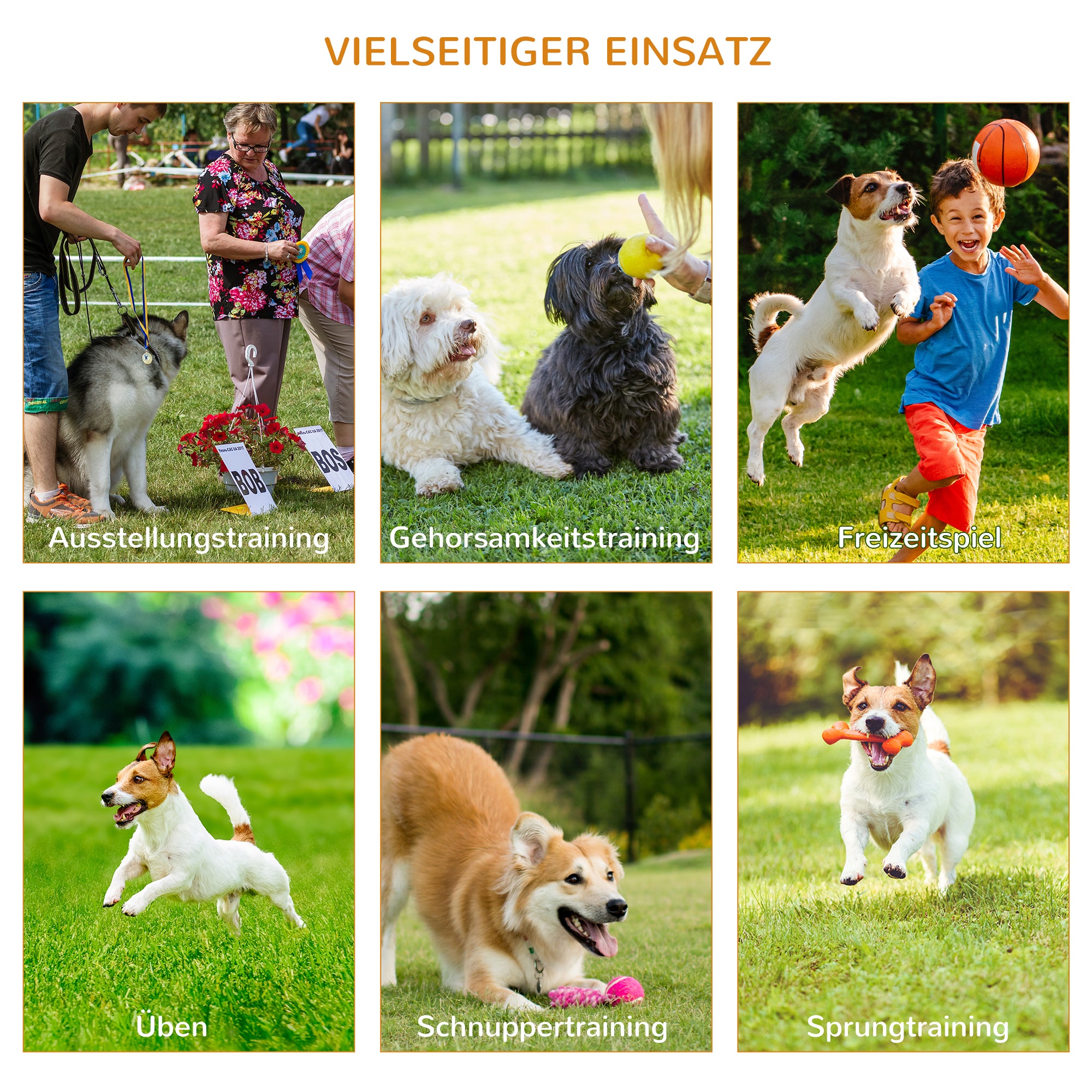 Pawhut Hunde Agility-Set mit 4 Hindernissen Rot+Gelb