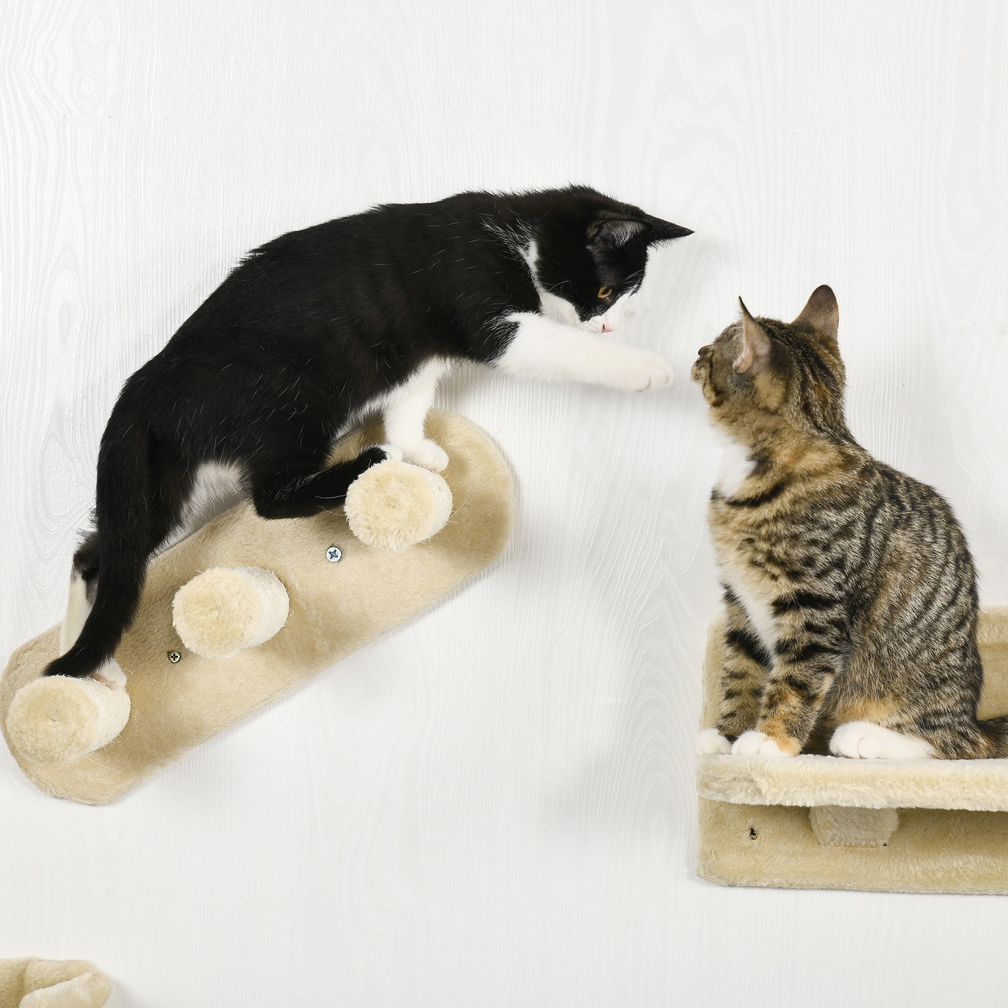 PawHut Kletterwand-Set für Katzen, 4-teilig, mit Katzentreppe, Hängematte, Plattform und Kratzbaum, Beige