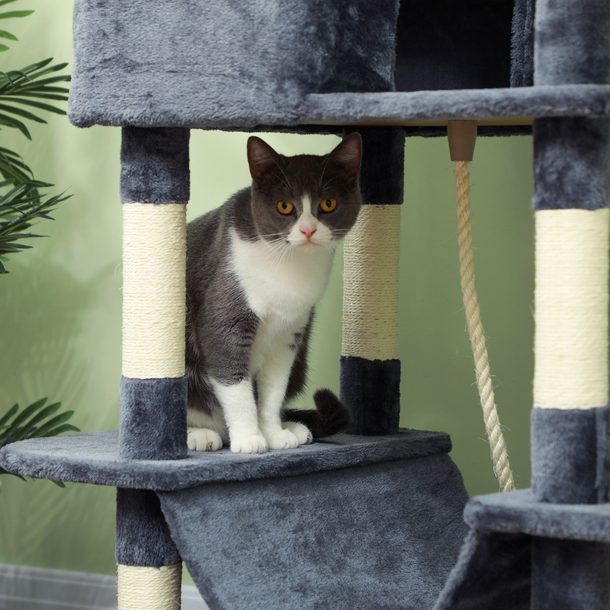 PawHut Kratzbaum 206 cm Katzenturm mit Höhle, 2 Spielballen, Sisalstämme, Plattform für große Katzen, Dunkelgrau