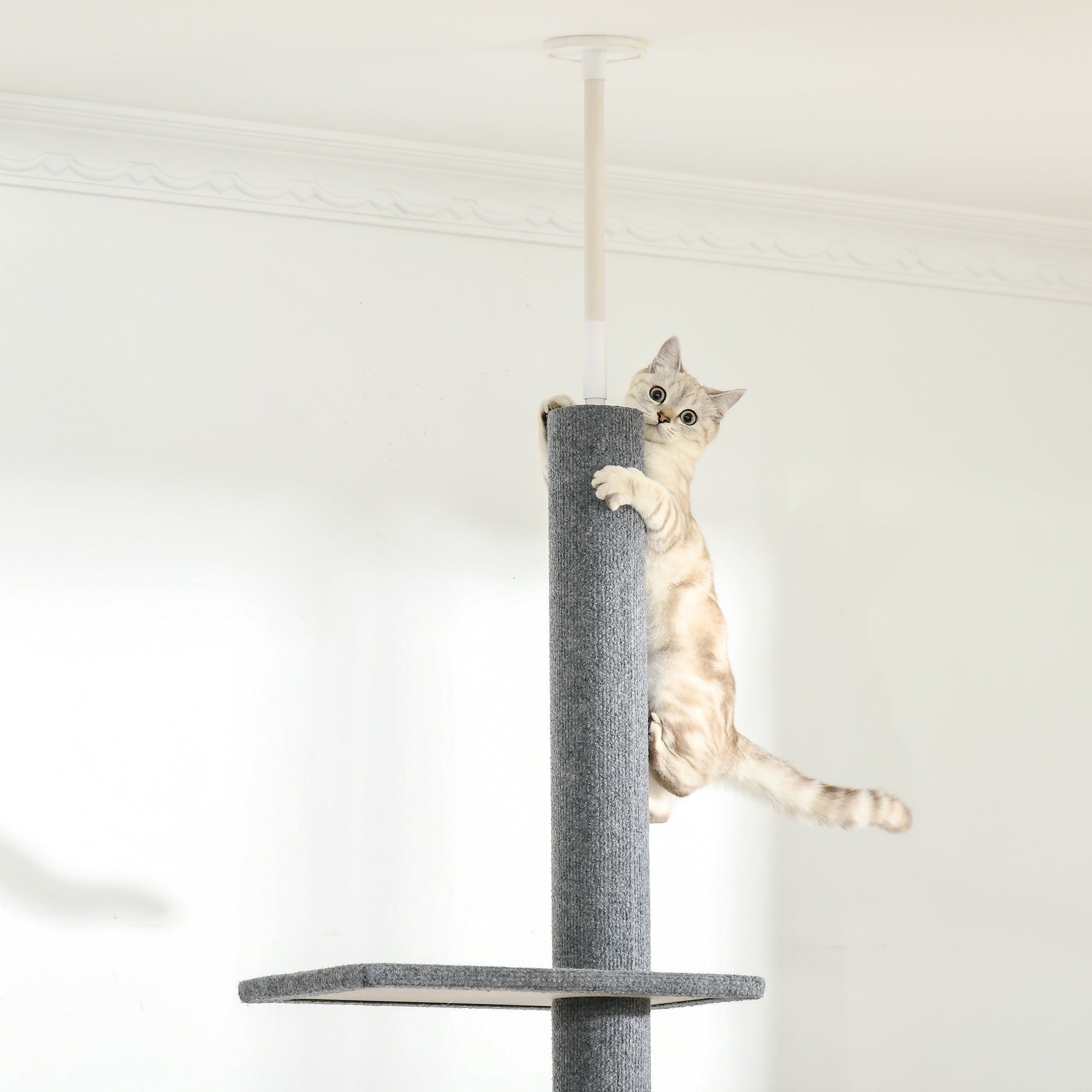 PawHut Kratzbaum Deckenhoch, 228-260 cm Höhenverstellbarer Katzenbaum Kletterbaum für Katzen mit 3 Ebenen, Katzenkratzbaum, Spielbaum vom Boden bis zur Decke Grau