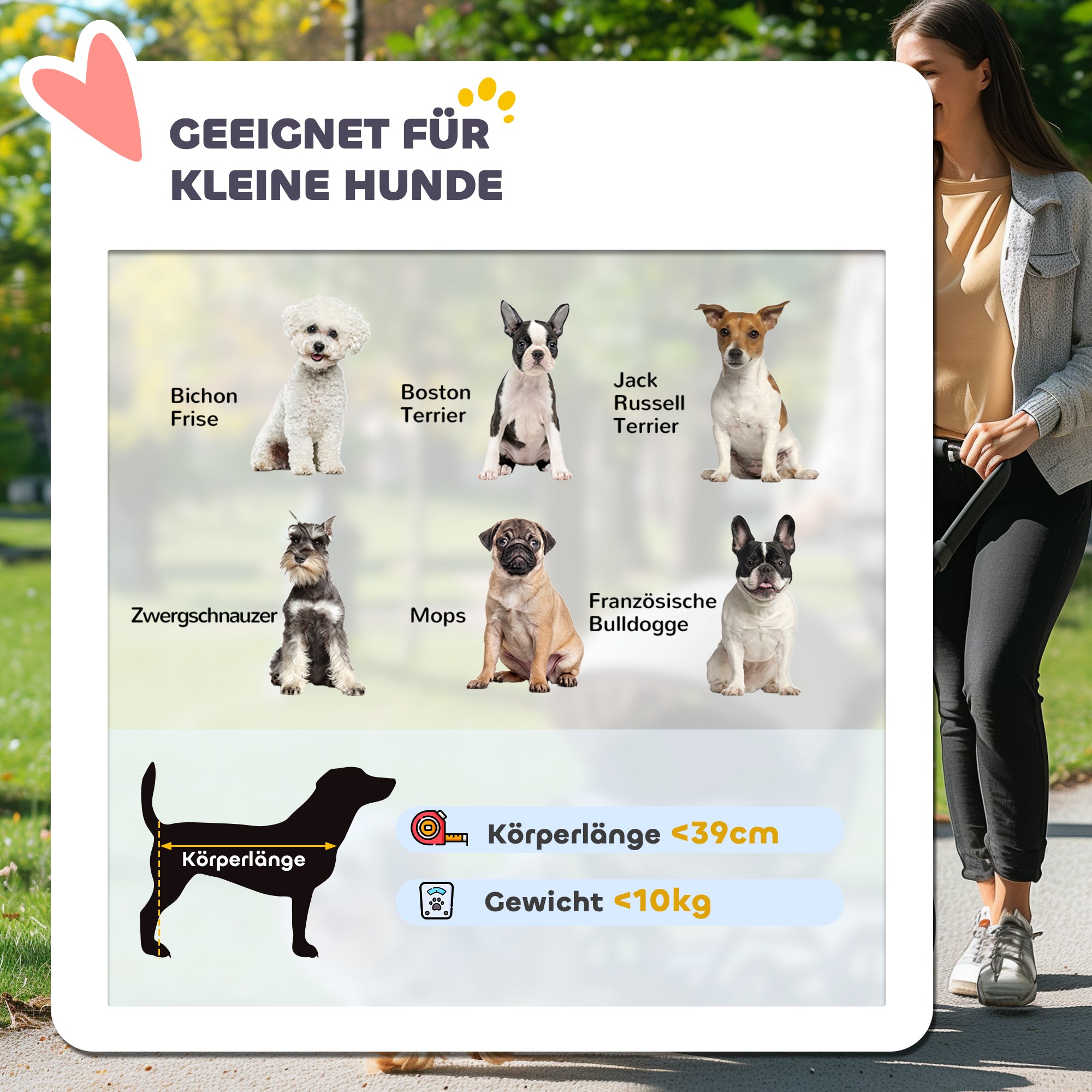 PawHut Hundebuggy, Haustierwagen für kleine Hunde und Katzen, mit Aufbewahrungskorb, Ein-Klick-Faltdesign, Grau