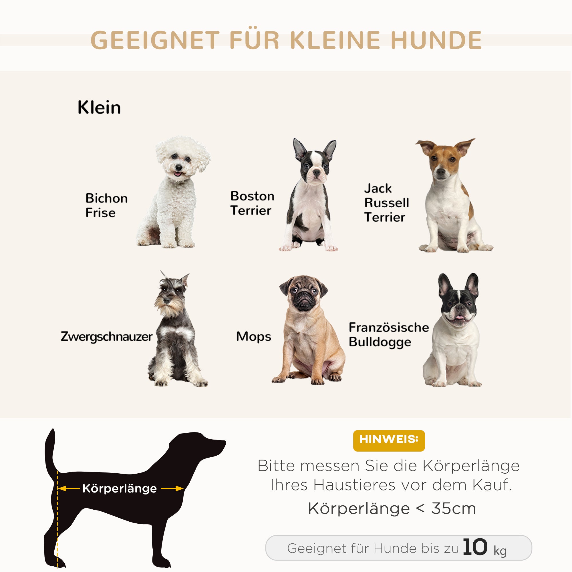 PawHut Haustiersofa mit Stauraum, weichem Kissen, bis 15 kg Tragkraft, Plüschbezug, Hartholzrahmen, Hellgrau