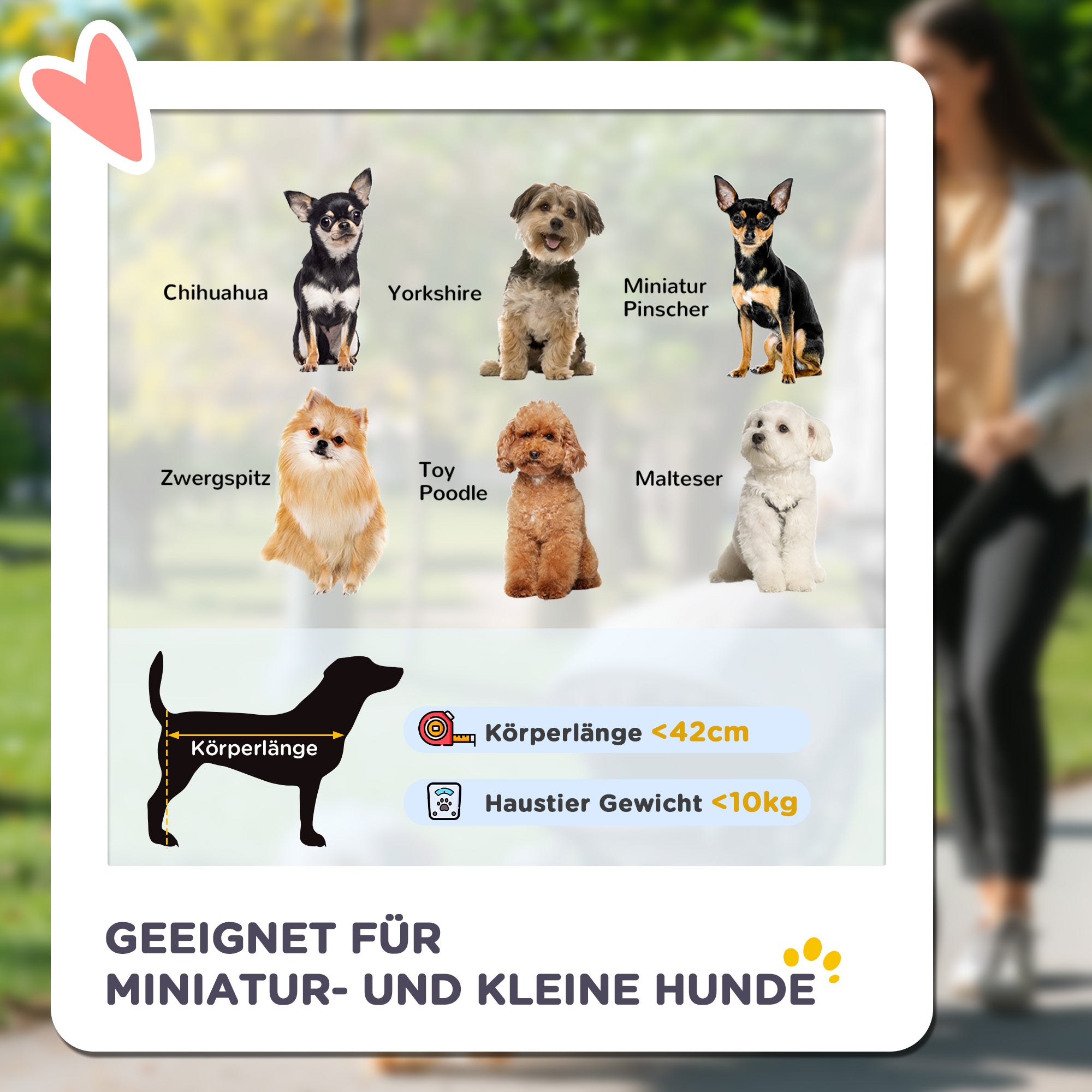 PawHut Hundebuggy Hundewagen bis 10kg klappbar verstellbares Vordach Bodenkorb Kissen Seitentasche 81 cm x 48 cm x 99 cm Grau
