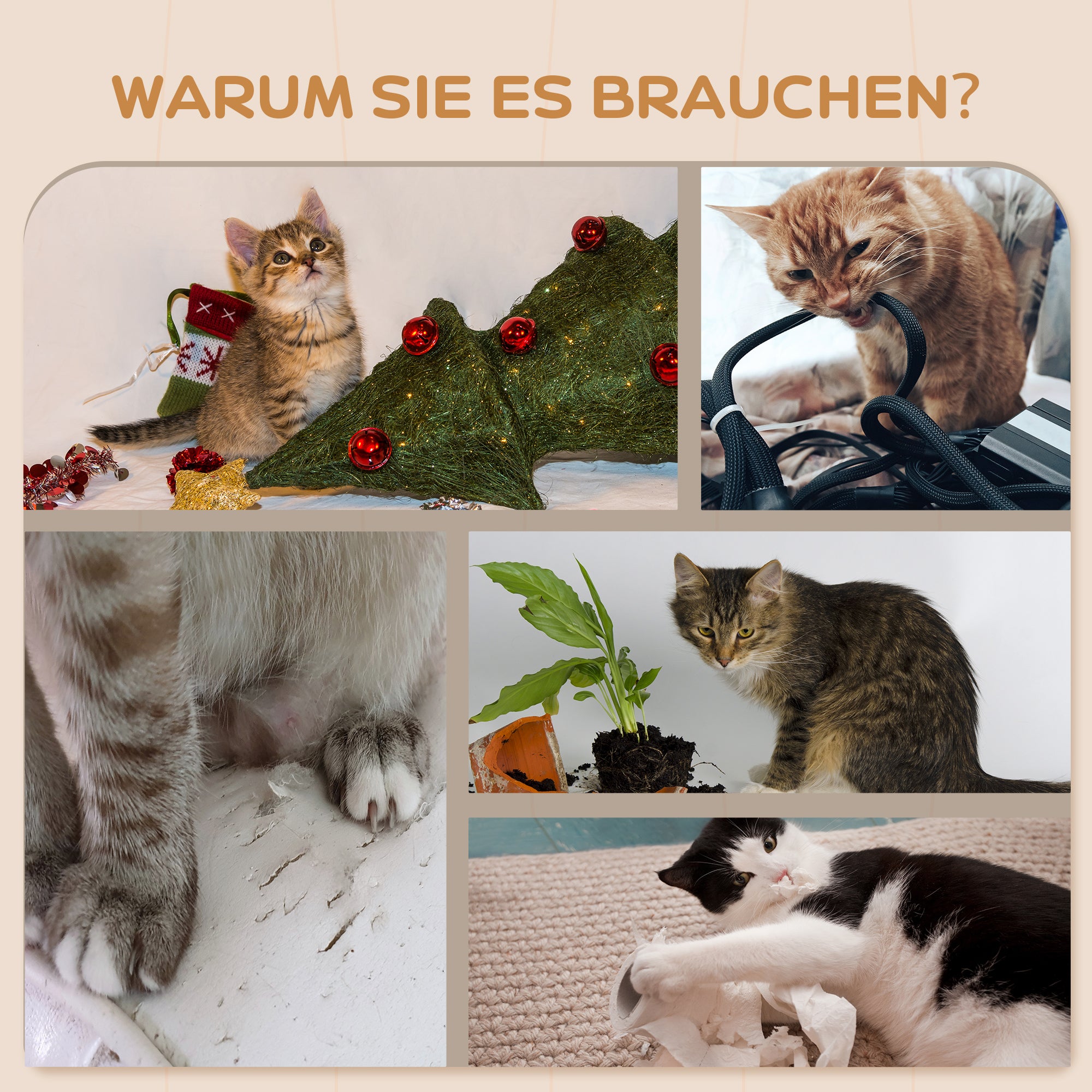 PawHut Katzentreppen-Set, Wand- und Deckenmontage, für Katzen bis 5 kg, Beige