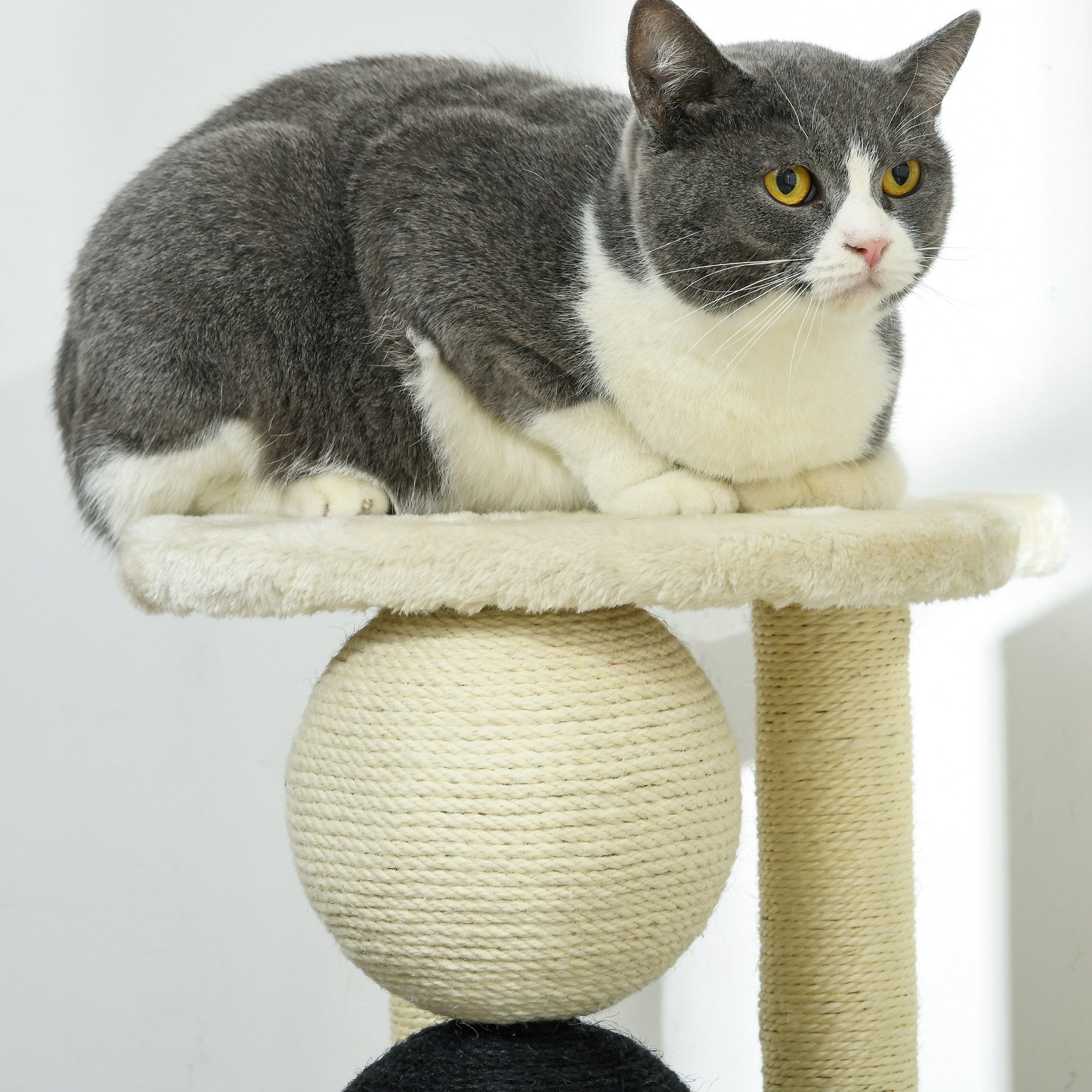 PawHut Kratzsäule für Katzen, Katzenkratzbaum Kratzbaum mit Plattform, Kratzstamm mit 2 Sisalpfosten und 4 Sisalbällen, Katzenkratzer Spielzeug, 38 x 38 x 64 cm