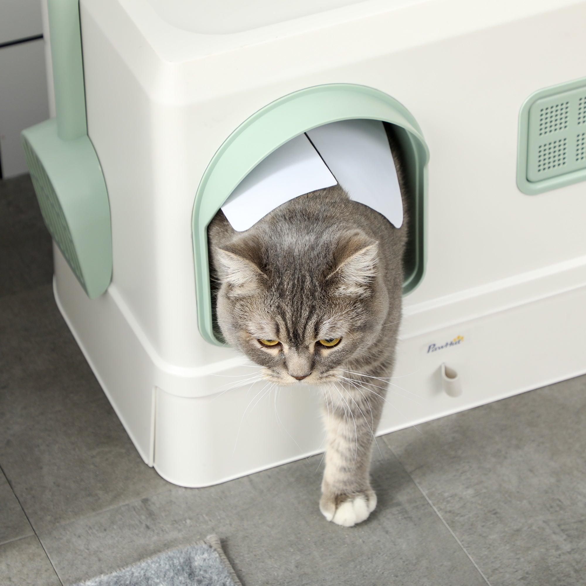 PawHut Katzentoilette mit Abdeckung, 1 Streuschaufel, herausnehmbare Bodenwanne, 50 cm x 40 cm x 40 cm, Mintgrün + Weiß