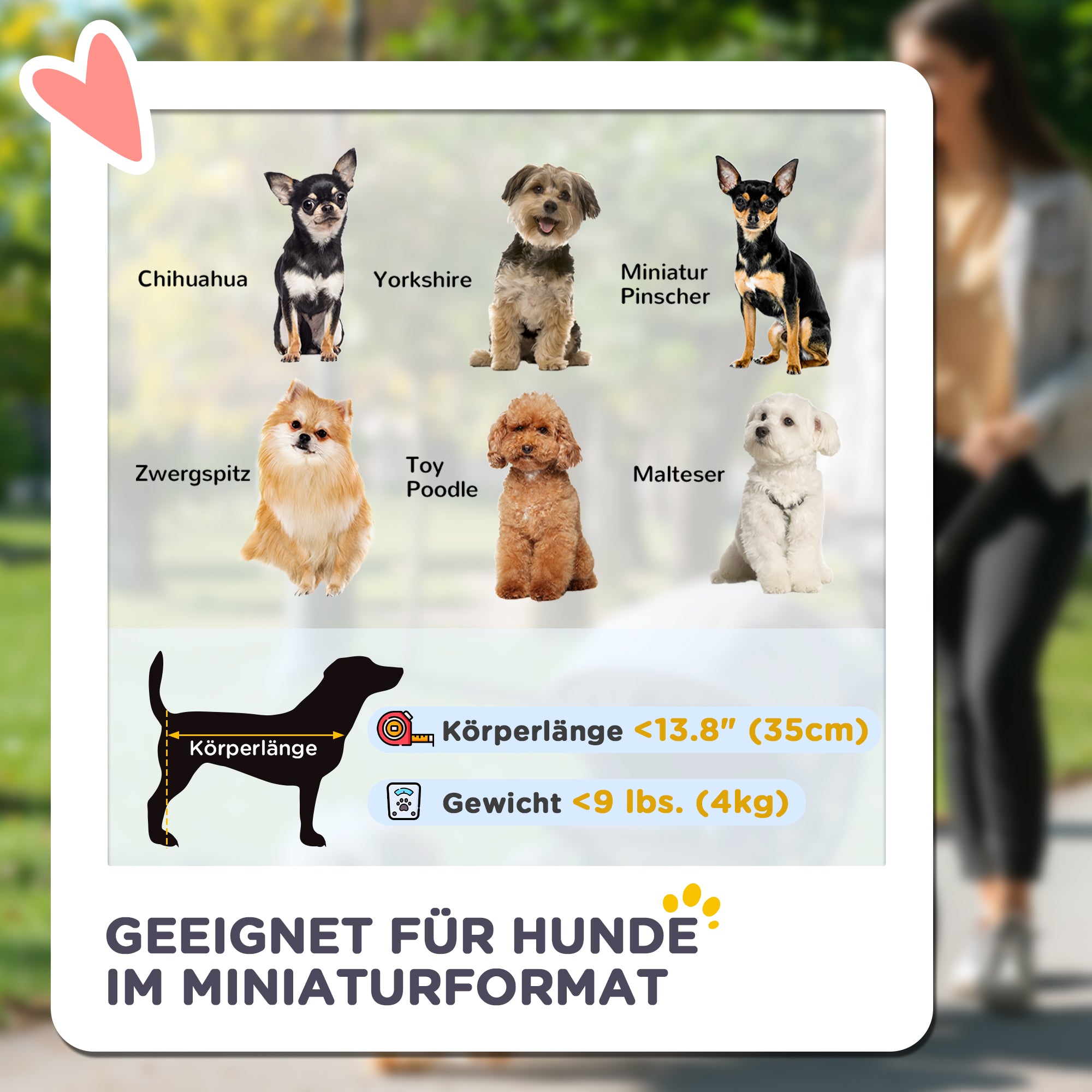 PawHut 3-in-1-Haustierkinderwagen, zusammenklappbarer Hundewagen mit 4 Rädern und abnehmbarer Trage für Hunde und Katzen Türkis
