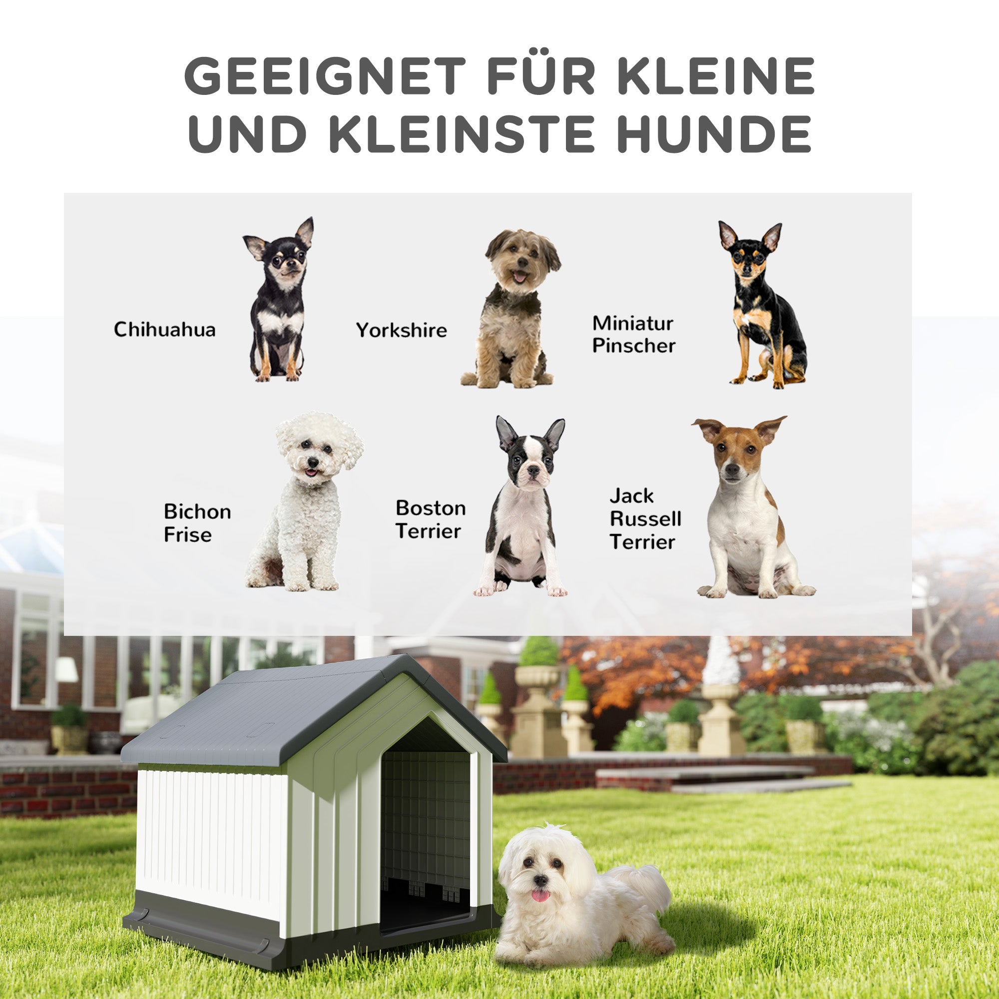 PawHut Hundehütte, wetterfest, Fenster & Tür, für kleine Hunde bis 10kg/40cm Länge, 62x61x60cm, Grau/Weiß