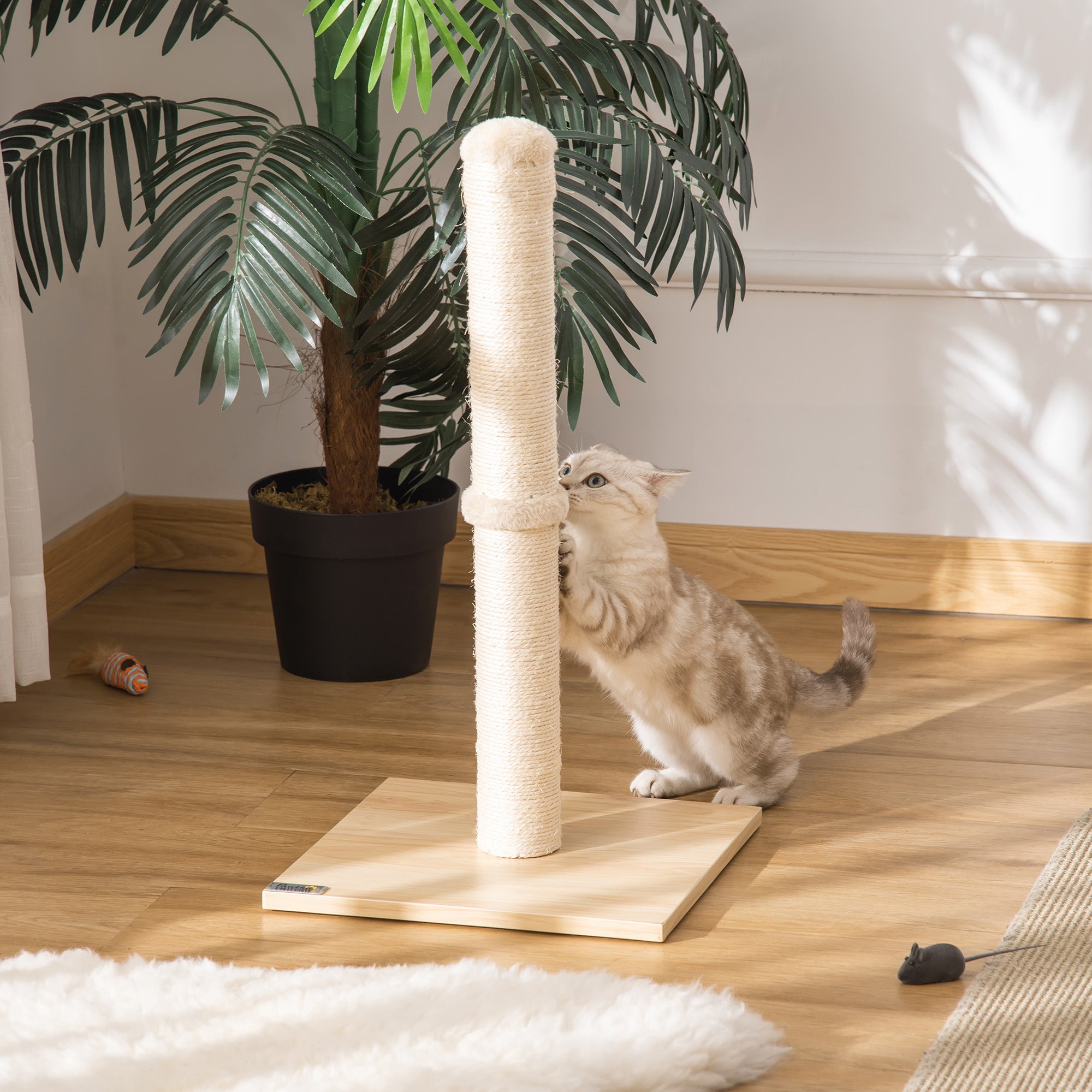 PawHut Kratzstamm für Katzen Kratzsäule aus Sisal stabiler Kratzbaum Kratz Spielzeug Katze mit Ball 60 cm Spanplatte Sisal Beige+Eiche 34 x 34 x 60 cm